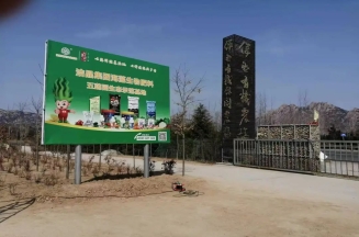 山东williamhill集团总裁、市人大代表林成彬建言日照茶产业提质增效